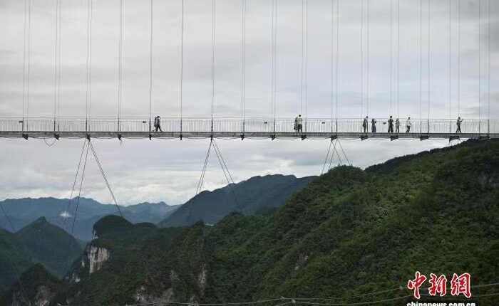 图片_20250725105044