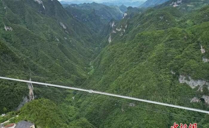 图片_20250725105033