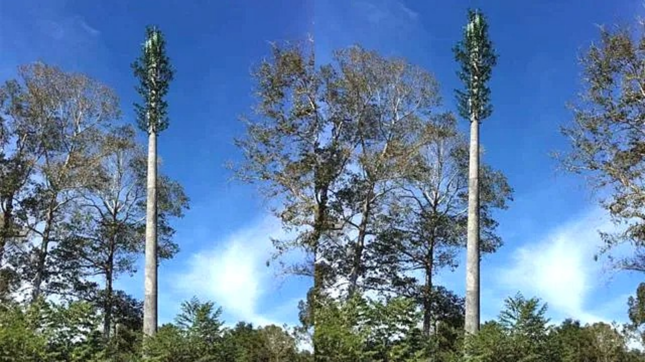 吴哥窟景区拟携手国际组织推进通信网络扩容