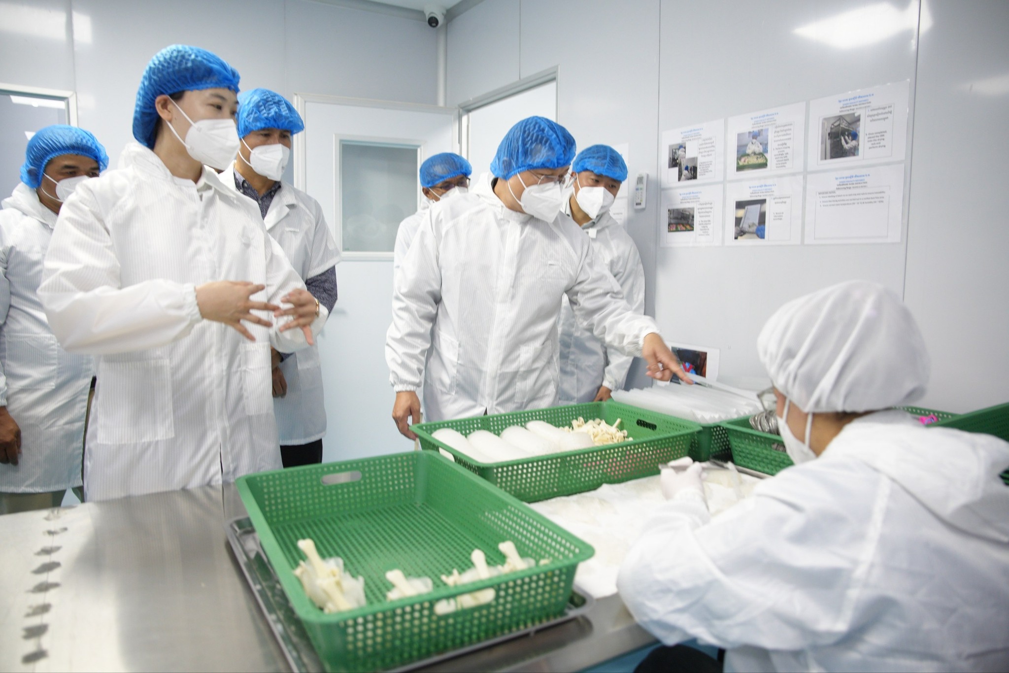 邓迪那部长视察燕子屋有限公司  助力柬优质燕窝进军国际市场