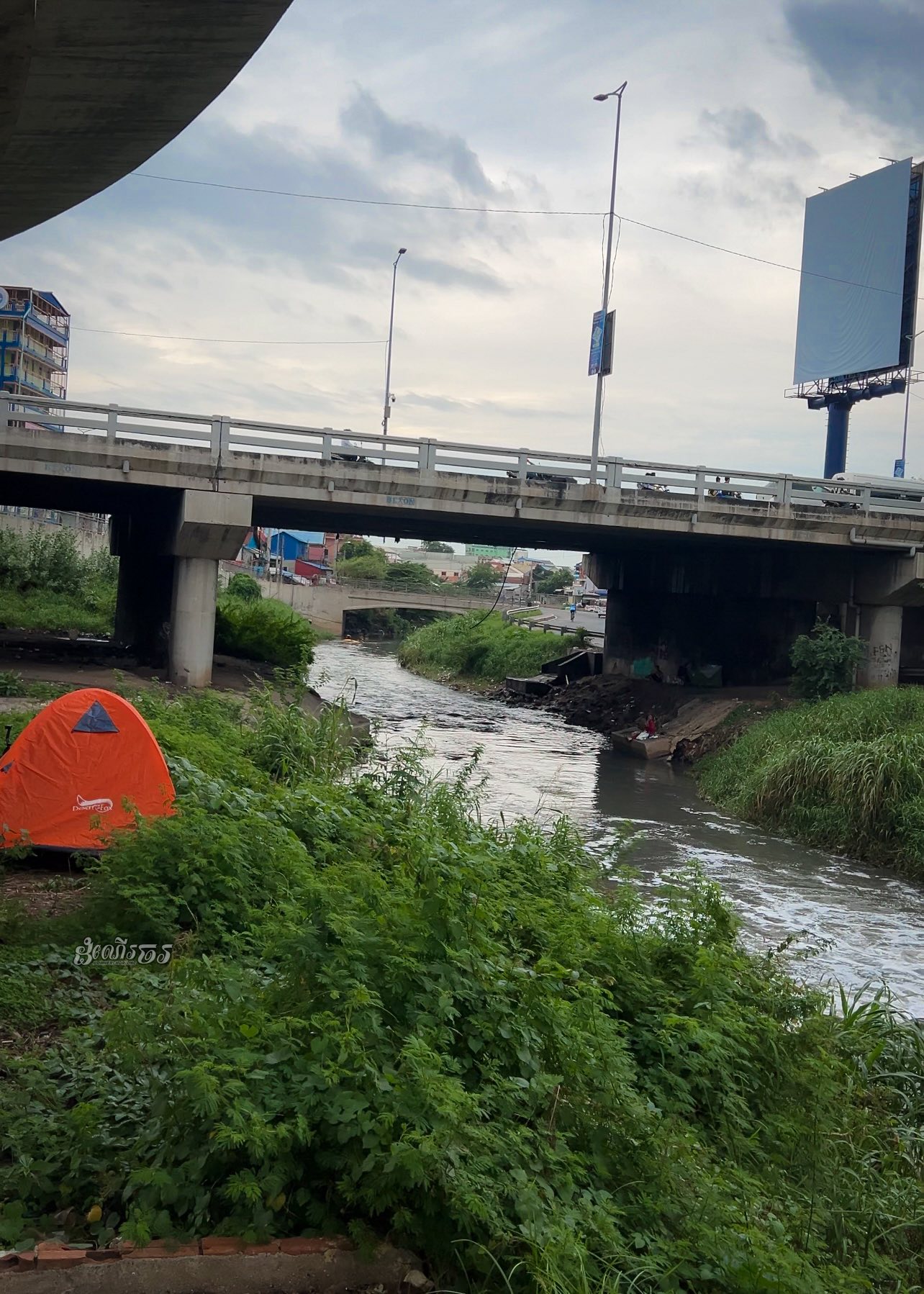 金边青年“硬核城市露营”引发热议