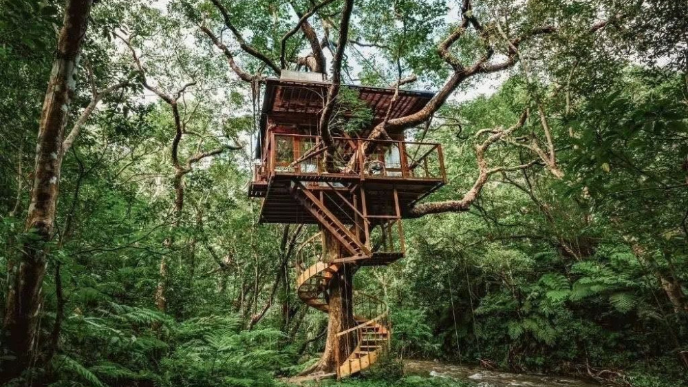 兼顾开发与保护 暹粒省政府商讨荔枝山“树屋”旅游项目