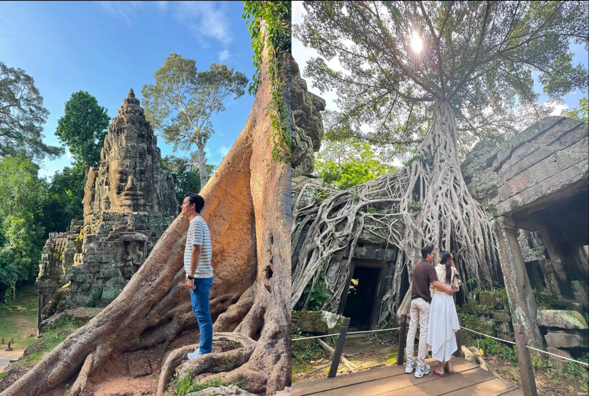 រមណីយដ្ឋានអង្គរ បង្ហាញសម្រស់យ៉ាងស្រស់បំពងនាដូវកាលបៃតង ទាក់ទាញភ្ញៀវទេសចរមកកម្សាន្តយ៉ាងកុះករ