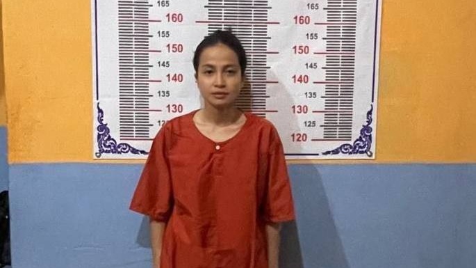 金边市初级法院依法羁押涉嫌辱骂前线军人女子